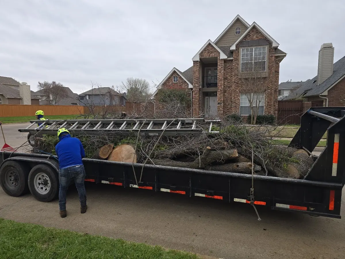 Expert Tree Fertilization with proper safety equipment in Wildwood